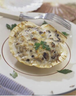 CONCHAS DE POLLO