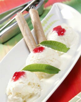 HELADO DE VAINILLA