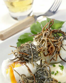 HUEVOS ESCALFADOS SOBRE LECHO DE GULAS FRITAS
