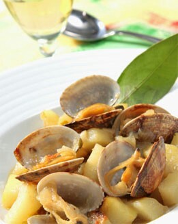 CONCHAS CON VERDURAS