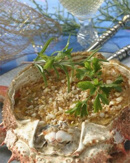 CENTOLLO RELLENO AL CAVA