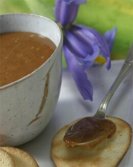DULCE DE LECHE RÁPIDO