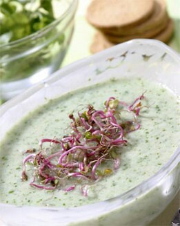 CREMA DE BERROS CON GERMINADOS