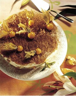 BISCUIT DE FRUTA TROPICAL
