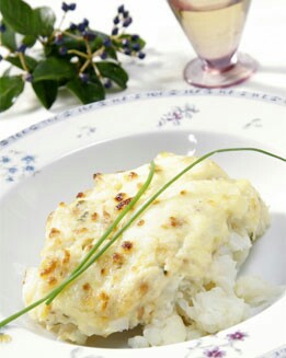 COLIFLOR DE NAVIDAD