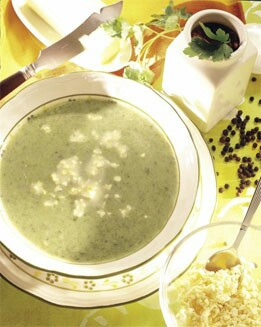 SOPA FLORENTINA