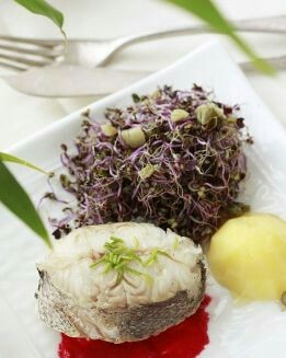 MERLUZA CON REMOLACHA Y BROTES DE LOMBARDA