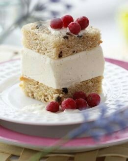 SANDWICH DE HELADO CON BIZCOCHO