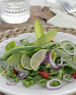 ENSALADA VERDE DE JUDÍAS , TIRABEQUES Y GUISANTES