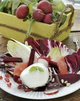 ENSALADA EN ROJO CON MOZARELLA