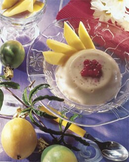 ESPUMA DE FRUTA DE LA PASIÓN
